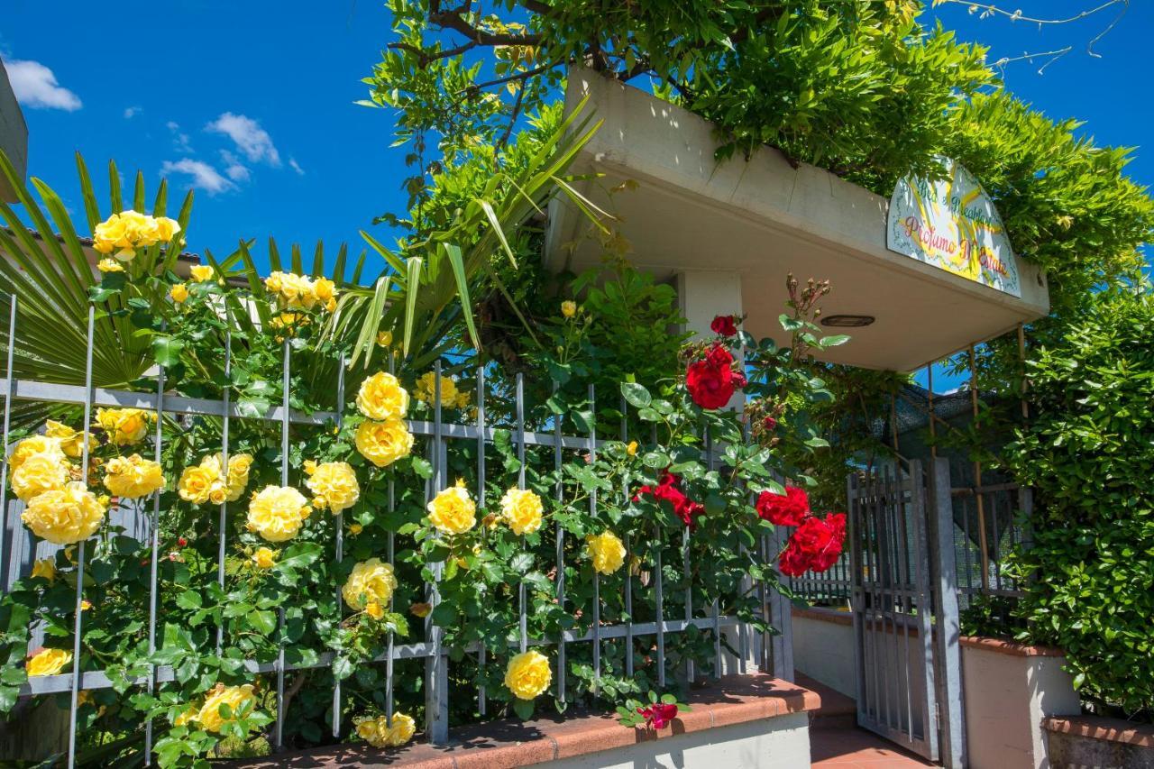 Bed & Breakfast Profumo D'Estate Agliana Εξωτερικό φωτογραφία