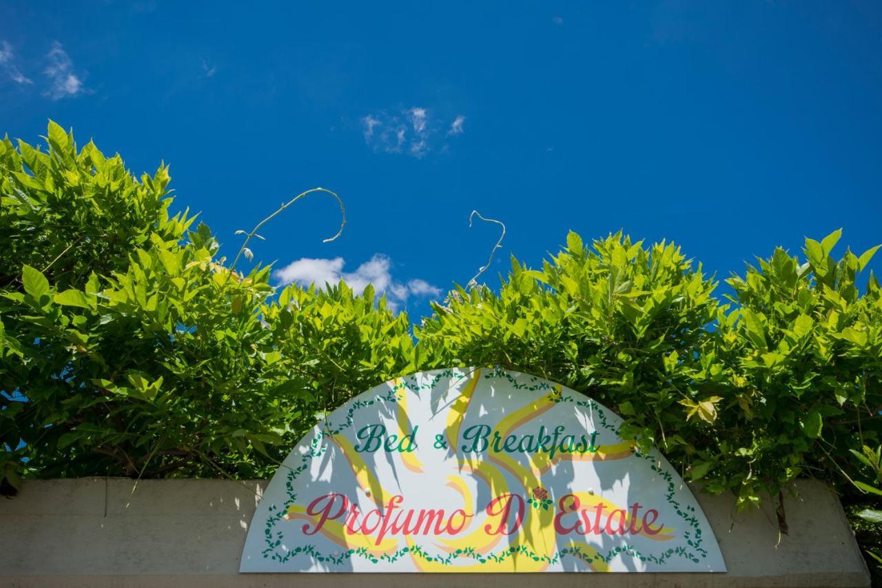 Bed & Breakfast Profumo D'Estate Agliana Εξωτερικό φωτογραφία
